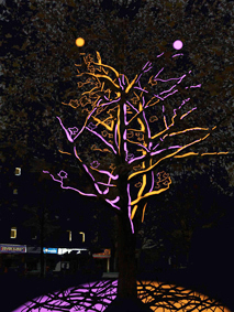 Nacht 